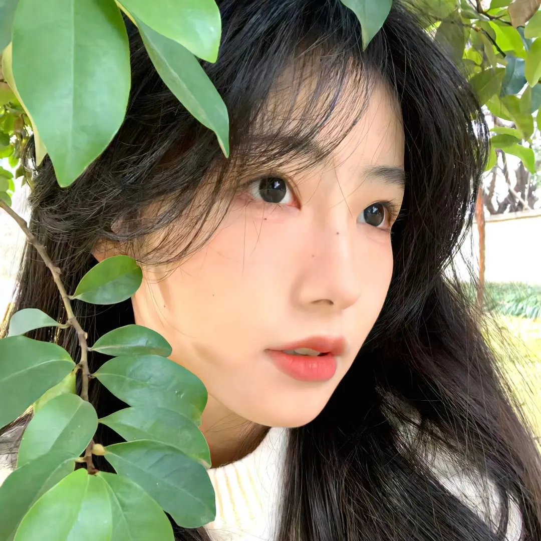 玛克辛