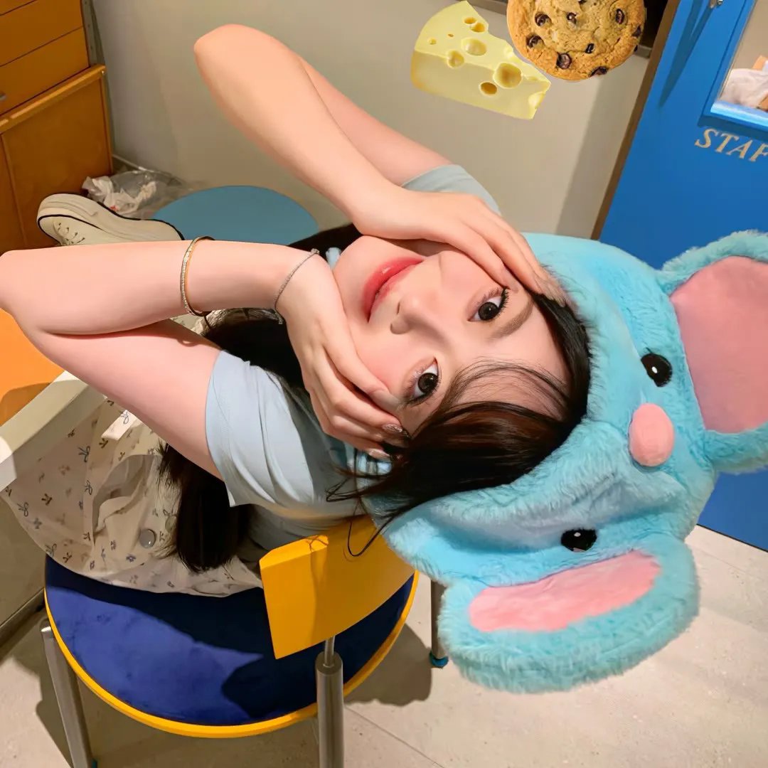 最新全集